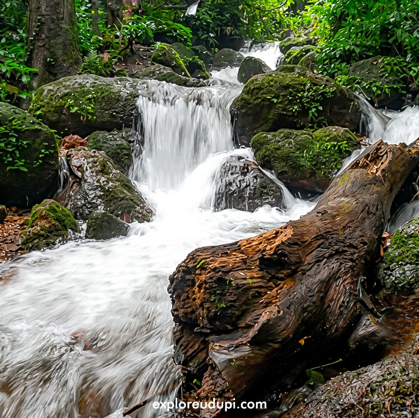arbi falls